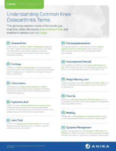 Cover of the patient glossary Understanding Common Knee Osteoarthritis Terms