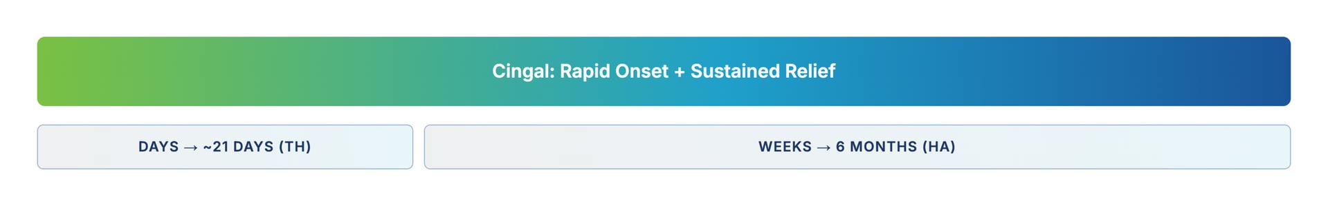 Banner showing Cingal treatment timeline: rapid onset in 21 days with triamcinolone, sustained relief for weeks to 6 months with hyaluronic acid